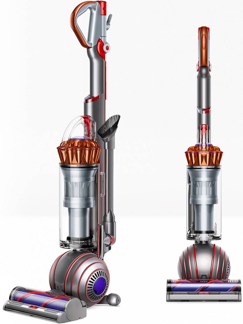 Dyson Ball Animal